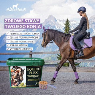 EQUINE FLEX - układ kostno-stawowy /suplement ziołowy/