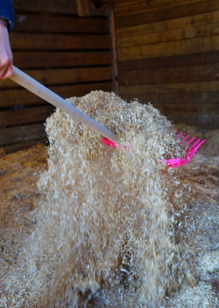 Sieczka słomiana Strawella dla koni