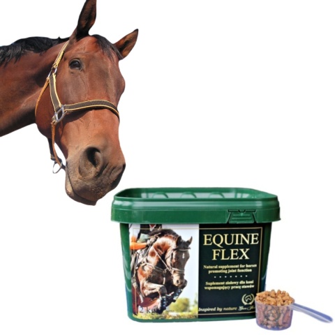 EQUINE FLEX - układ kostno-stawowy /suplement ziołowy/