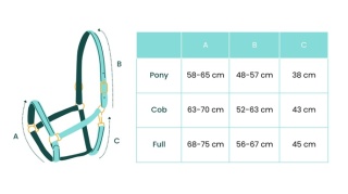 Kantar dla koni York Softy jasnoróżowy, rozmiar FULL - ŚLICZNY