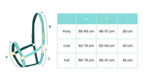 Kantar dla koni York Softy jasnoróżowy, rozmiar FULL - ŚLICZNY