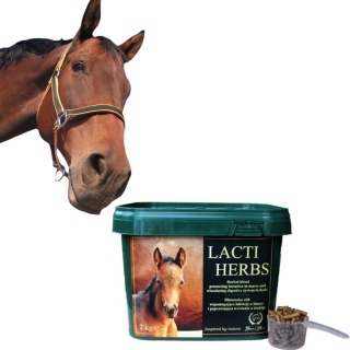 Lacti Herbs 2 kg Laktacja klaczy i trawienie źrebiąt Granulat ziołowy
