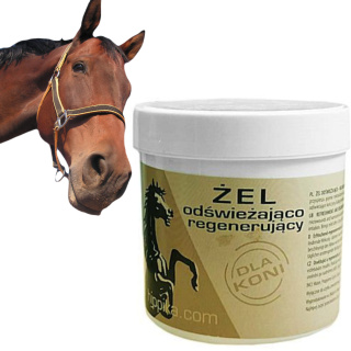 Żel odźświeżająco - regenerujący z ARNIKĄ 300ml - HIPPIKA - REGENERUJE