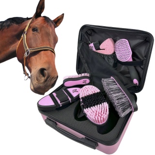 Zestaw do czyszczenia konia York Olivia, szczotki, zgrzebło, kopystka VIP